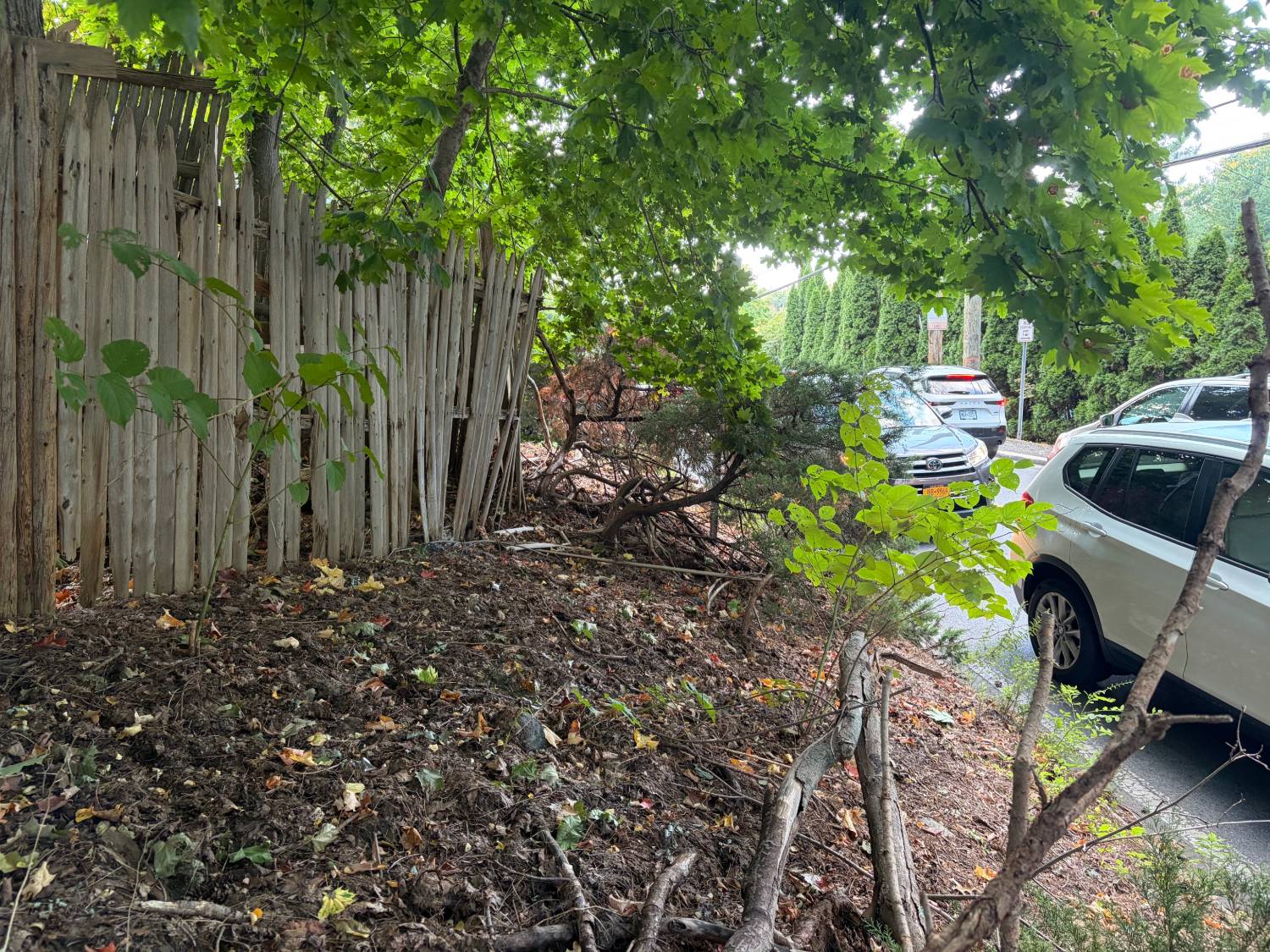 View from the proposed driveway location on the blind curve of Old Army Road: an overgrown slope, an old leaning picket fence and shrubs at the road edge, with cars passing close by on the curve.
